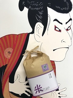 新之助com.jpg